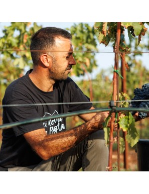Vino Susumaniello rosato pugliese:biologico dal carattere mediterraneo