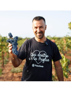 Torriserva – Susumaniello Rosso Salento IGT Biologico