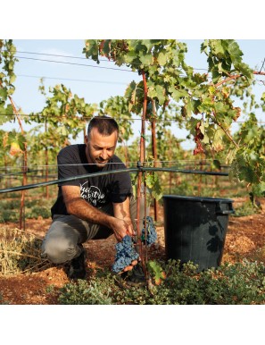 Torriserva – Susumaniello Rosso Salento IGT Biologico
