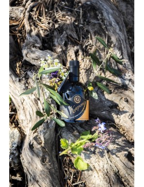 olio evo prezzo