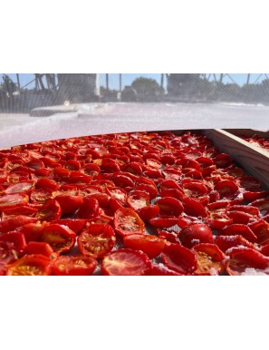 Organic Fiaschetto Tomato from Torre Guaceto Semi-Dry in Oil