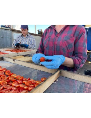 Organic Fiaschetto Tomato from Torre Guaceto Semi-Dry in Oil